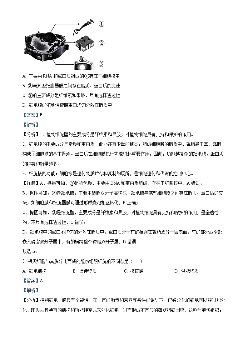 江苏省泰州市泰兴市2023-2024学年高二下学期期中考试生物试题（原卷版+解析版）02