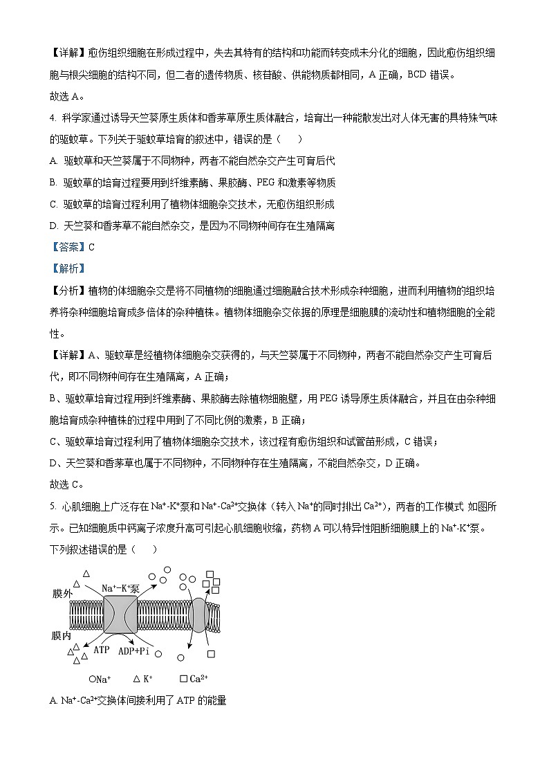 江苏省泰州市泰兴市2023-2024学年高二下学期期中考试生物试题（原卷版+解析版）03