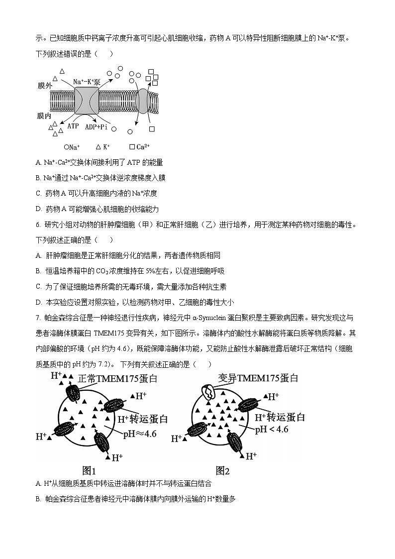 江苏省泰州市泰兴市2023-2024学年高二下学期期中考试生物试题（原卷版+解析版）02