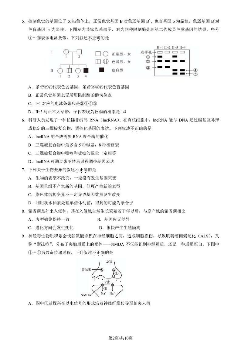 2024北京市石景山区高三上学期期末生物试卷及答案02