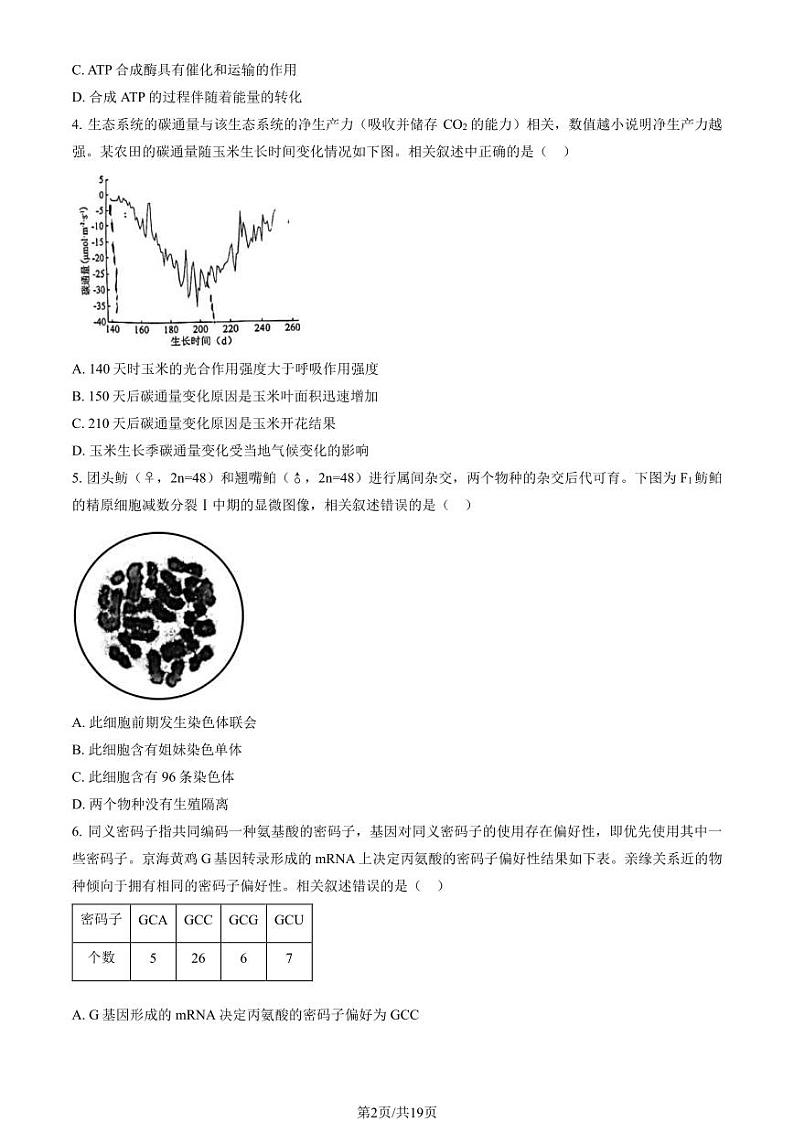 2024北京市昌平区高三上学期期末生物试卷及答案第2页