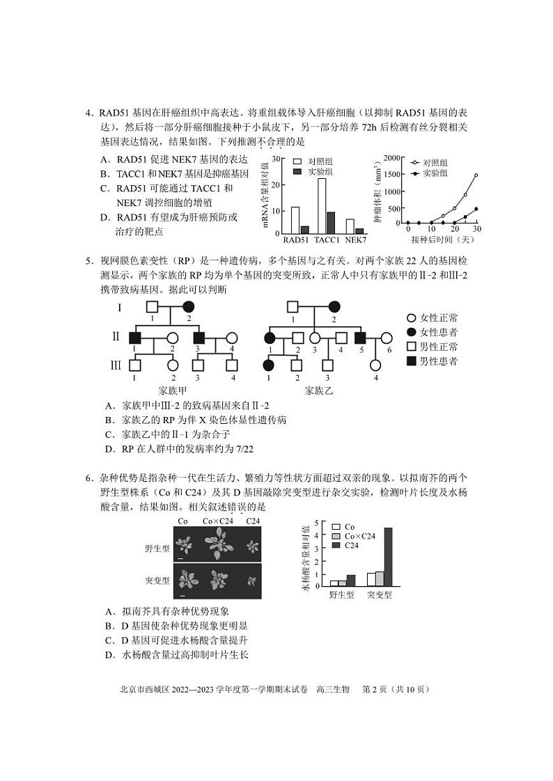 2023北京市西城区高三上学期期末生物试题及答案02