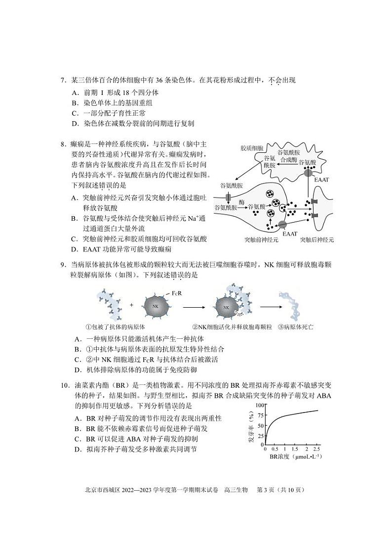 2023北京市西城区高三上学期期末生物试题及答案03