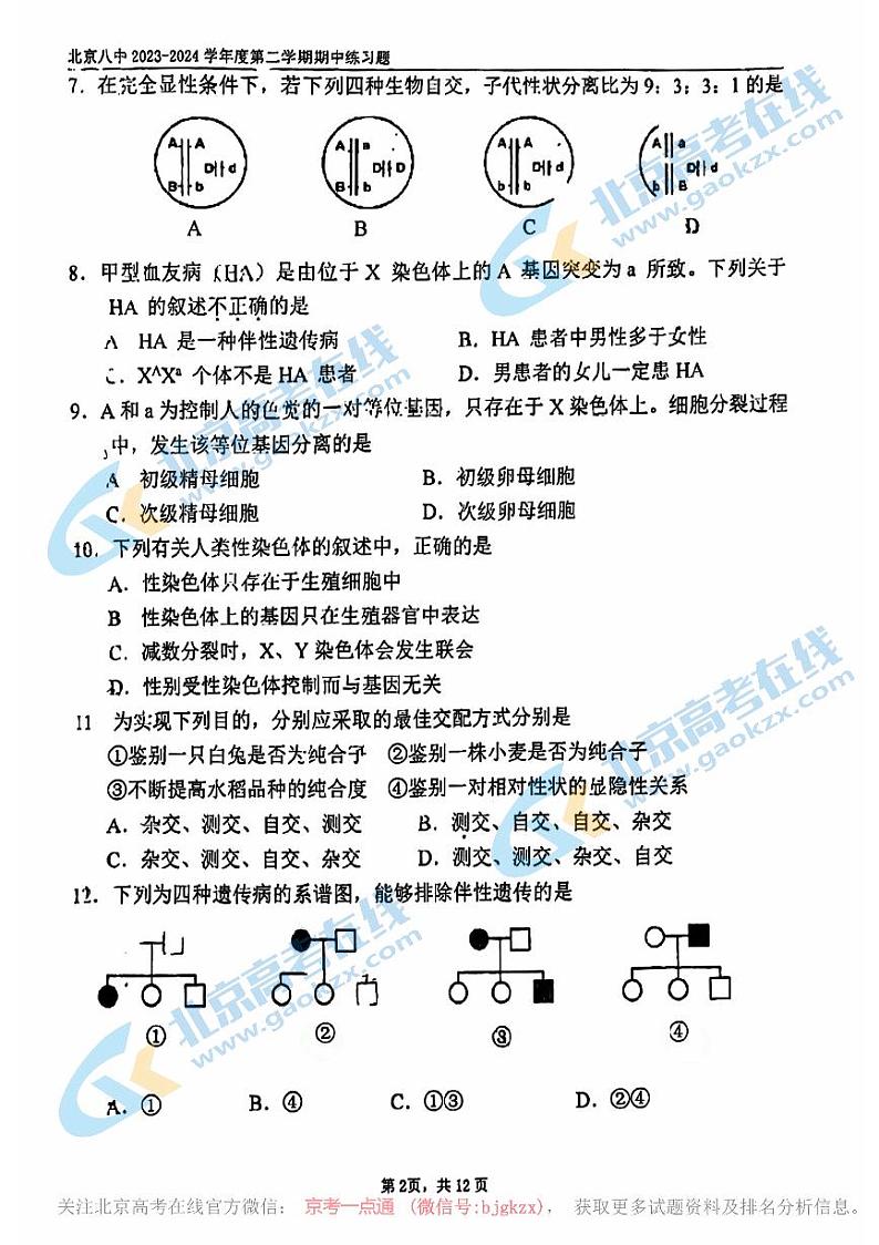2024北京八中高一下学期期中生物试题及答案02