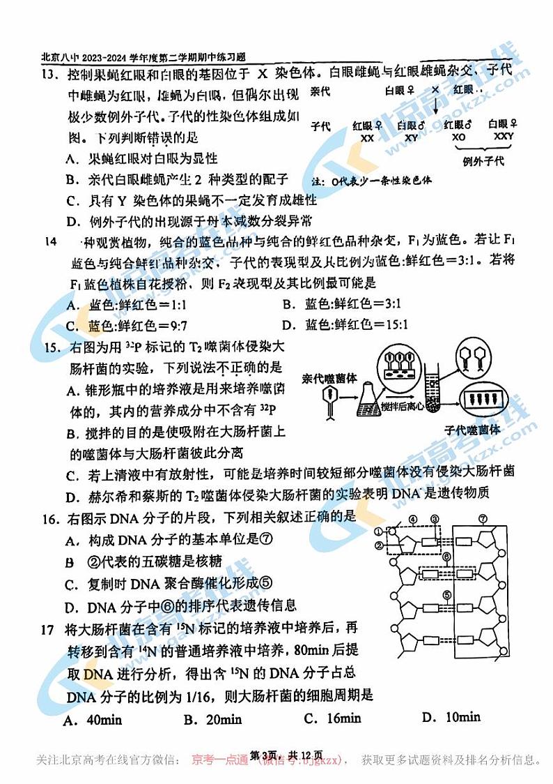2024北京八中高一下学期期中生物试题及答案03