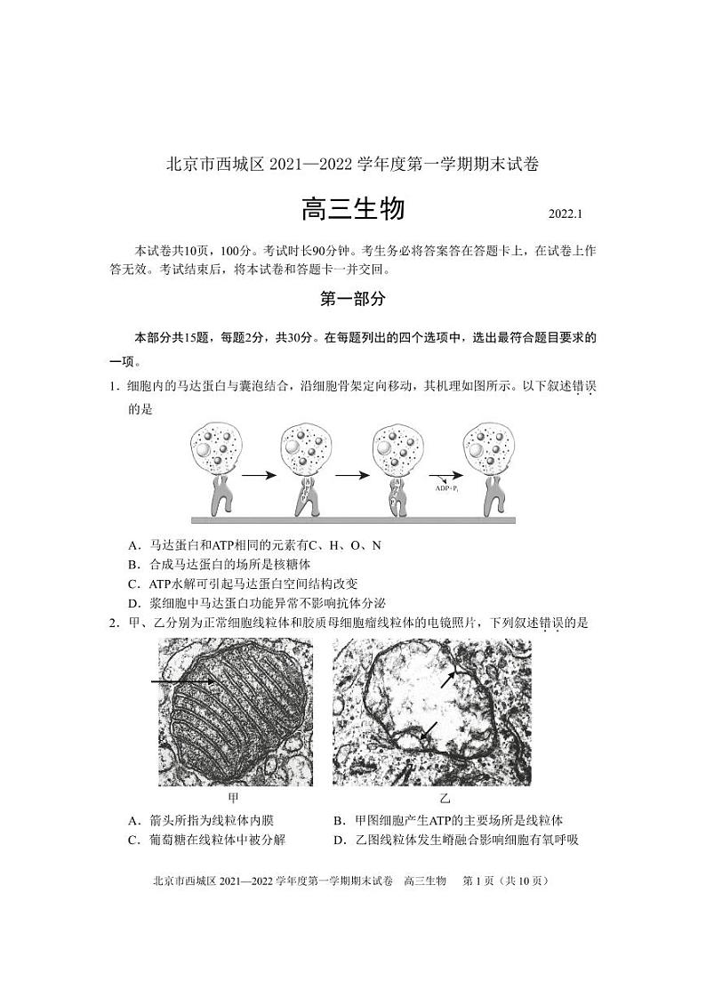 2022北京市西城区高三上学期期末生物试卷及答案01
