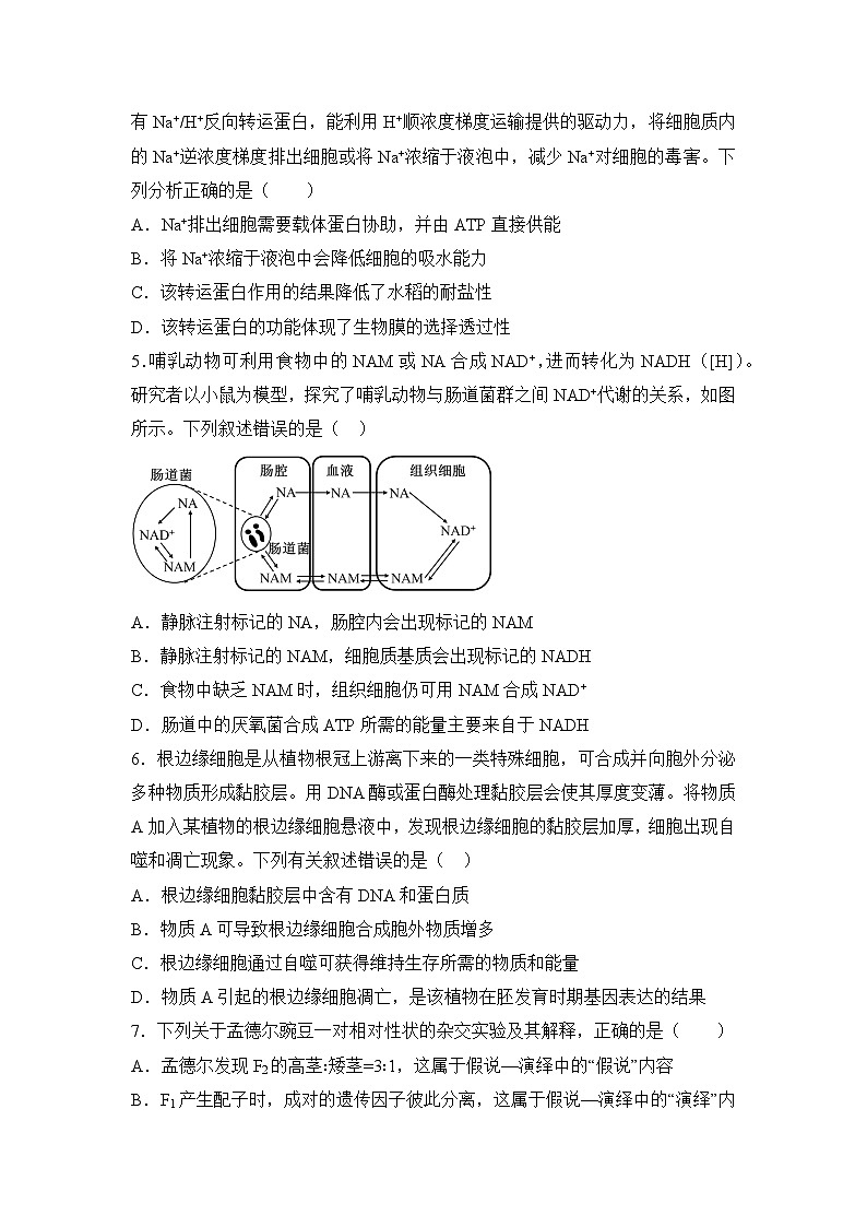 湖南省衡阳县第五中学2023-2024学年高一下学期第一次月考生物试题第2页