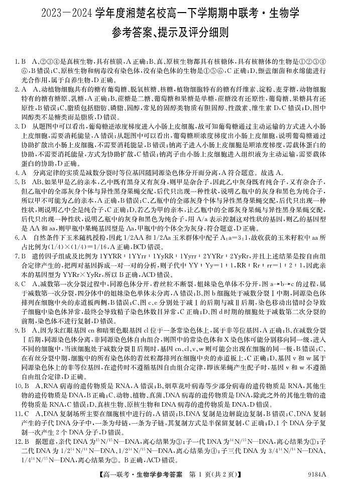 湖南省湘楚名校2023-2024学年高一下学期4月期中考试生物试题01