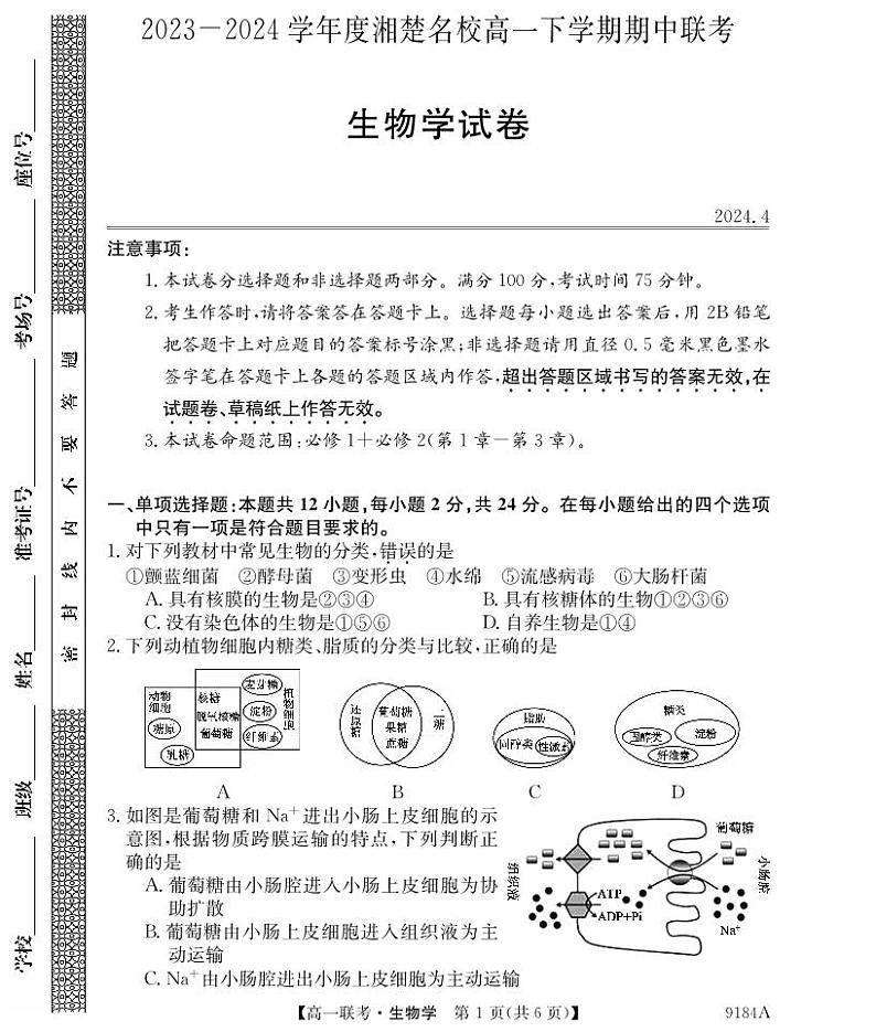 湖南省湘楚名校2023-2024学年高一下学期4月期中考试生物试题01