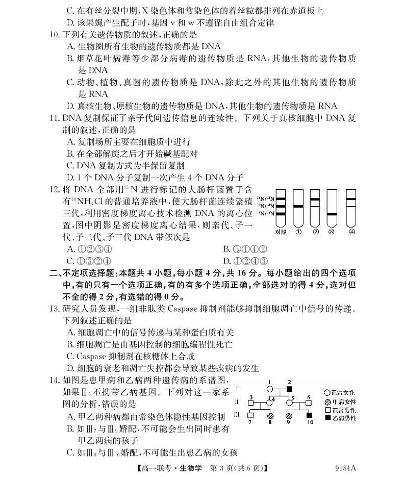 湖南省湘楚名校2023-2024学年高一下学期4月期中考试生物试题03