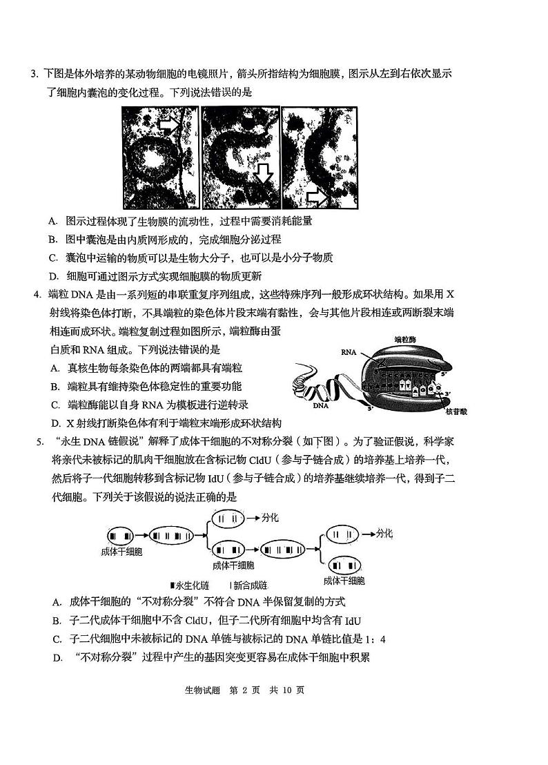 山东青岛市2024届高三适应性考试生物试题+答案（5月8日青岛二模）02
