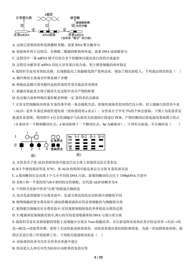 2022北京市房山区高三上学期期末生物试卷及答案第2页