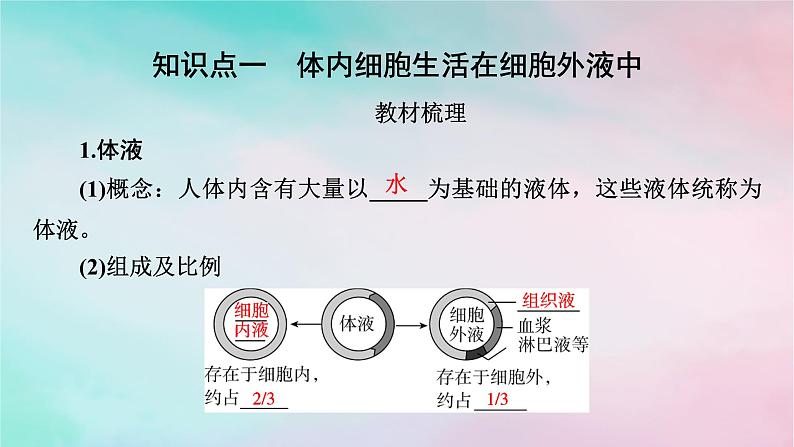 2025版新教材高中生物第1章人体的内环境与稳态第1节细胞生活的环境课件新人教版选择性必修104