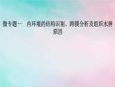 2025版新教材高中生物第1章人体的内环境与稳态微专题1内环境的结构识别跨膜分析及组织水肿原因课件新人教版选择性必修1