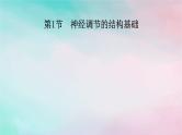 2025版新教材高中生物第2章神经调节第1节神经调节的结构基础课件新人教版选择性必修1