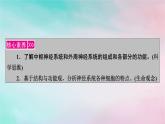 2025版新教材高中生物第2章神经调节第1节神经调节的结构基础课件新人教版选择性必修1