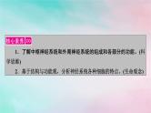 2025版新教材高中生物第2章神经调节第1节神经调节的结构基础课件新人教版选择性必修1