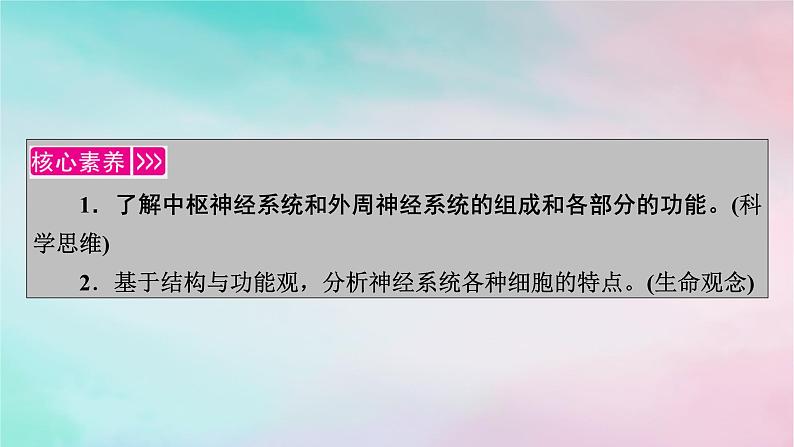 2025版新教材高中生物第2章神经调节第1节神经调节的结构基础课件新人教版选择性必修102