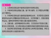 2025版新教材高中生物第2章神经调节第1节神经调节的结构基础课件新人教版选择性必修1