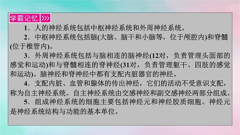 2025版新教材高中生物第2章神经调节第1节神经调节的结构基础课件新人教版选择性必修103