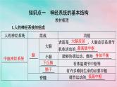 2025版新教材高中生物第2章神经调节第1节神经调节的结构基础课件新人教版选择性必修1