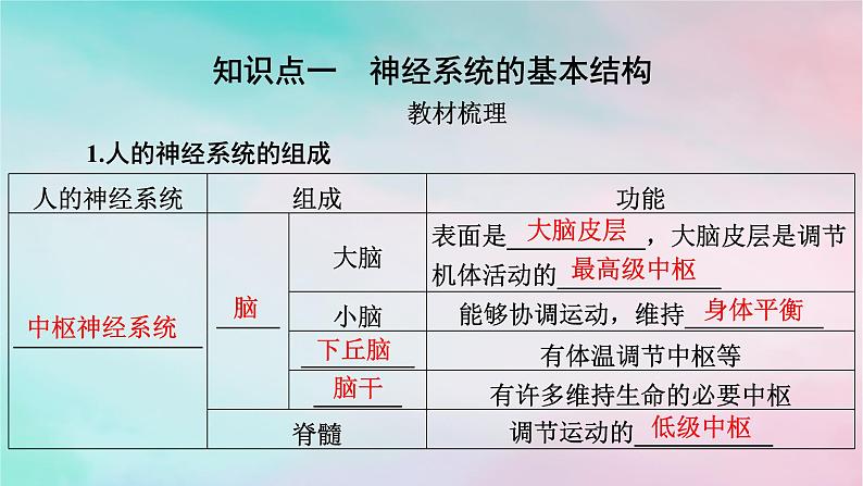 2025版新教材高中生物第2章神经调节第1节神经调节的结构基础课件新人教版选择性必修104