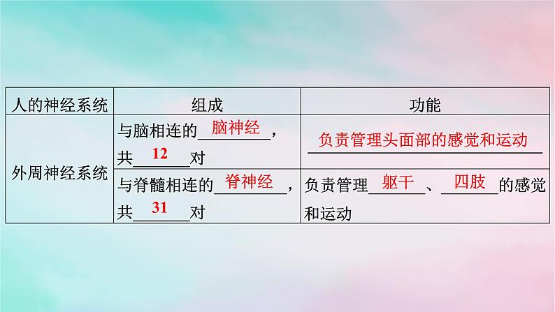 2025版新教材高中生物第2章神经调节第1节神经调节的结构基础课件新人教版选择性必修105