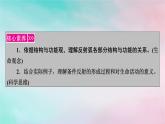 2025版新教材高中生物第2章神经调节第2节神经调节的基本方式课件新人教版选择性必修1