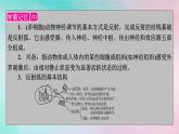 2025版新教材高中生物第2章神经调节第2节神经调节的基本方式课件新人教版选择性必修1