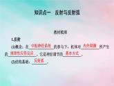 2025版新教材高中生物第2章神经调节第2节神经调节的基本方式课件新人教版选择性必修1