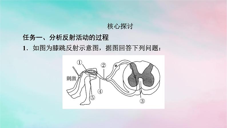 2025版新教材高中生物第2章神经调节第2节神经调节的基本方式课件新人教版选择性必修108