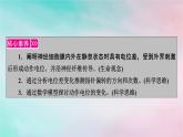 2025版新教材高中生物第2章神经调节第3节神经冲动的产生和传导第1课时兴奋在神经纤维上的传导课件新人教版选择性必修1