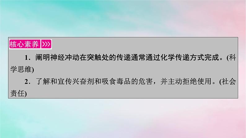 2025版新教材高中生物第2章神经调节第3节神经冲动的产生和传导第2课时兴奋在神经元之间的传递和滥用兴奋剂吸食毒品的危害课件新人教版选择性必修102