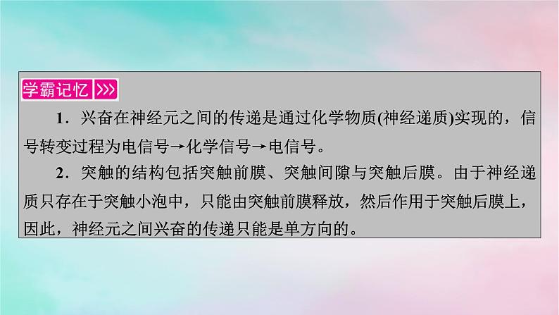 2025版新教材高中生物第2章神经调节第3节神经冲动的产生和传导第2课时兴奋在神经元之间的传递和滥用兴奋剂吸食毒品的危害课件新人教版选择性必修103