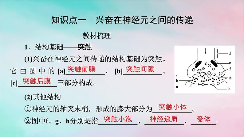 2025版新教材高中生物第2章神经调节第3节神经冲动的产生和传导第2课时兴奋在神经元之间的传递和滥用兴奋剂吸食毒品的危害课件新人教版选择性必修104