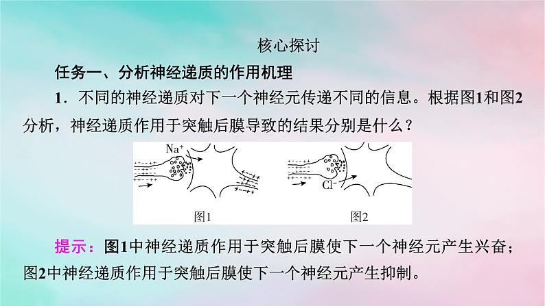 2025版新教材高中生物第2章神经调节第3节神经冲动的产生和传导第2课时兴奋在神经元之间的传递和滥用兴奋剂吸食毒品的危害课件新人教版选择性必修107