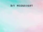 2025版新教材高中生物第2章神经调节第4节神经系统的分级调节课件新人教版选择性必修1