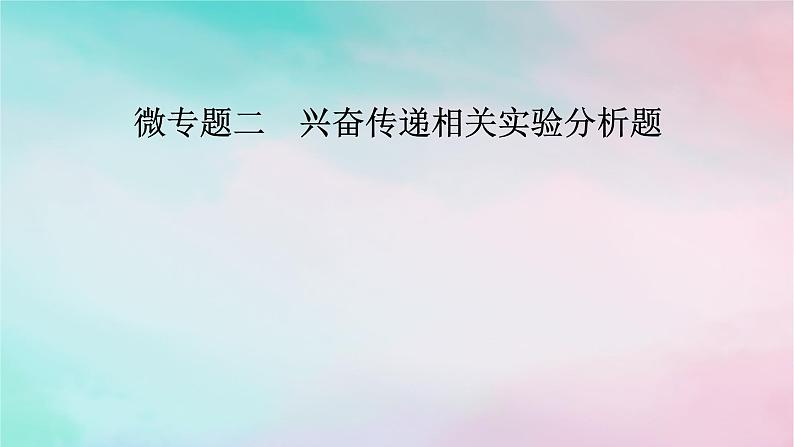 2025版新教材高中生物第2章神经调节微专题2兴奋传递相关实验分析题课件新人教版选择性必修101