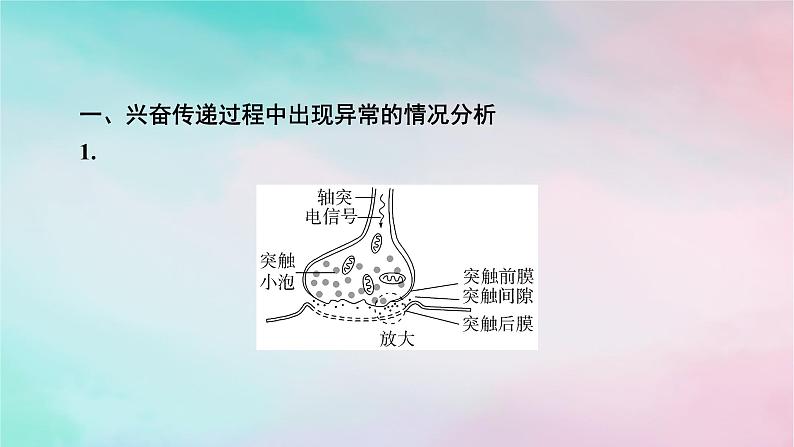 2025版新教材高中生物第2章神经调节微专题2兴奋传递相关实验分析题课件新人教版选择性必修102