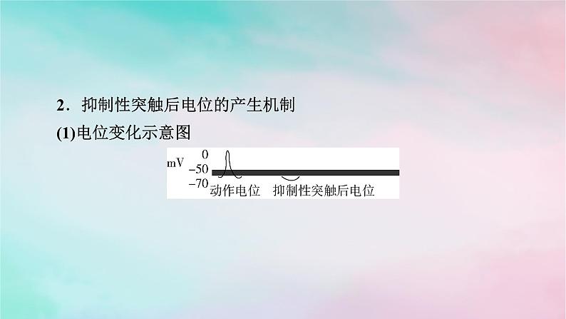 2025版新教材高中生物第2章神经调节微专题2兴奋传递相关实验分析题课件新人教版选择性必修104