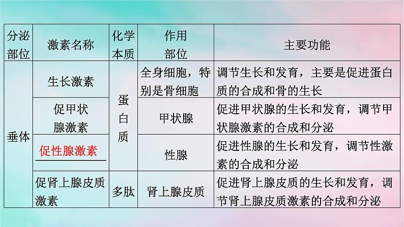 2025版新教材高中生物第3章体液调节第1节激素与内分泌系统第2课时内分泌系统的组成和功能课件新人教版选择性必修1第4页