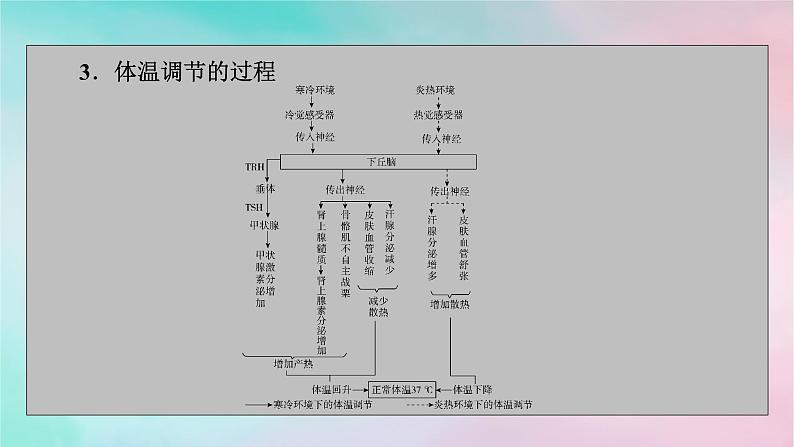 2025版新教材高中生物第3章体液调节第3节体液调节与神经调节的关系第1课时体液调节与神经调节的比较和体温调节课件新人教版选择性必修1第4页