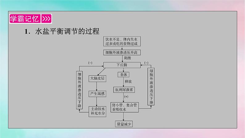 2025版新教材高中生物第3章体液调节第3节体液调节与神经调节的关系第2课时水和无机盐的调节课件新人教版选择性必修1第3页