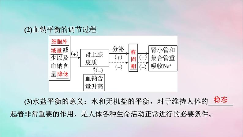 2025版新教材高中生物第3章体液调节第3节体液调节与神经调节的关系第2课时水和无机盐的调节课件新人教版选择性必修1第7页