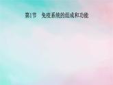 2025版新教材高中生物第4章免疫调节第1节免疫系统的组成和功能课件新人教版选择性必修1