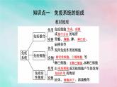 2025版新教材高中生物第4章免疫调节第1节免疫系统的组成和功能课件新人教版选择性必修1