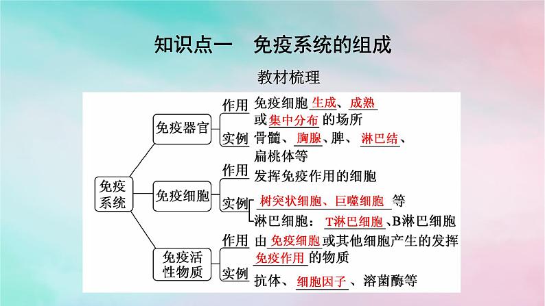 2025版新教材高中生物第4章免疫调节第1节免疫系统的组成和功能课件新人教版选择性必修1第5页