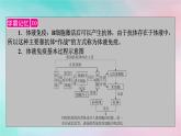 2025版新教材高中生物第4章免疫调节第2节特异性免疫第1课时体液免疫课件新人教版选择性必修1
