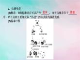 2025版新教材高中生物第4章免疫调节第2节特异性免疫第1课时体液免疫课件新人教版选择性必修1