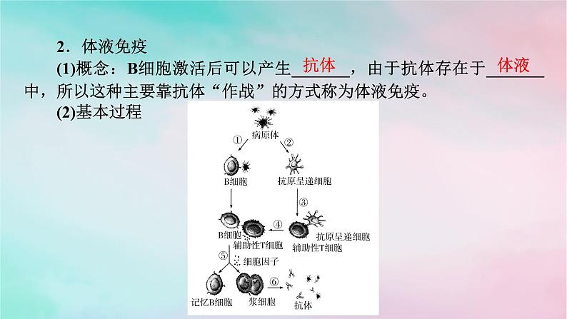 2025版新教材高中生物第4章免疫调节第2节特异性免疫第1课时体液免疫课件新人教版选择性必修1第5页